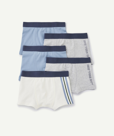 Kids radius - pack of 5 organic cotton boys' boxer shorts, plain blue-grey and white