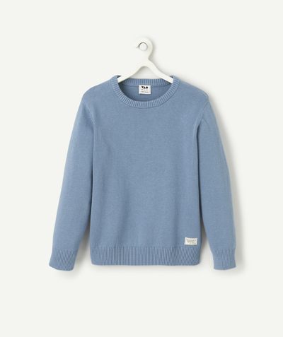 CategoryModel (8827517567118@9)  - Boy's blue cotton sweater