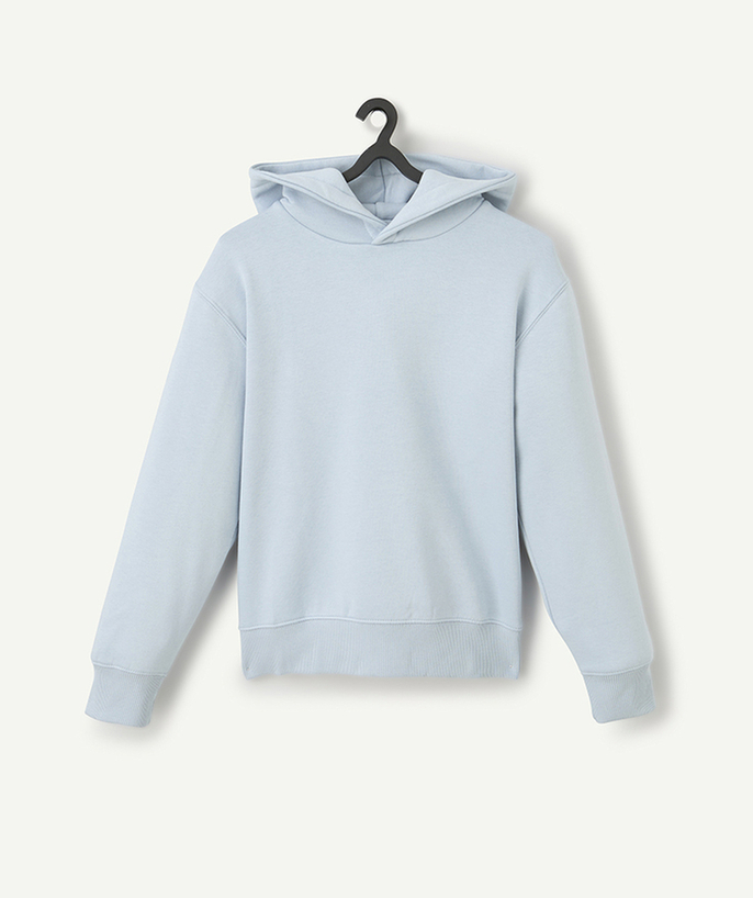   - boy's long-sleeved hoodie pastel blue