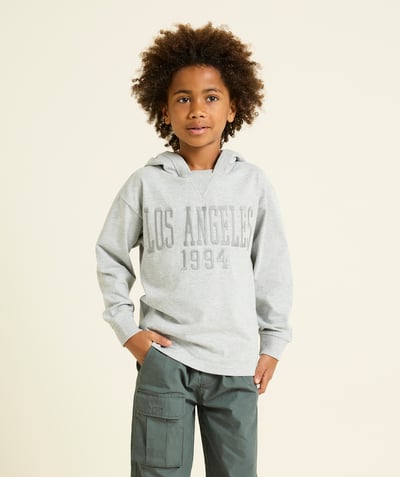 CategoryModel (8824765546638@75)  - grey organic cotton boy's long-sleeved hooded t-shirt with campus theme