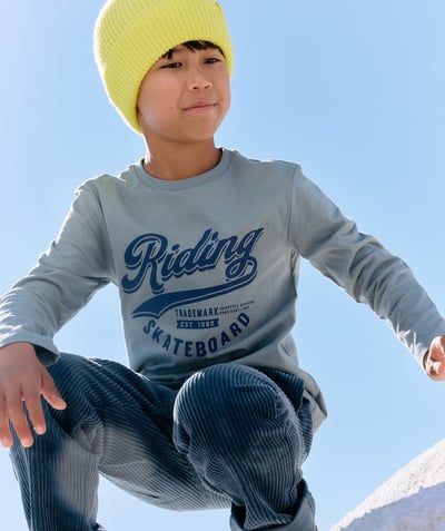 CategoryModel (8821764948110@1836)  - Boy's long-sleeved blue skateboard tee-shirt