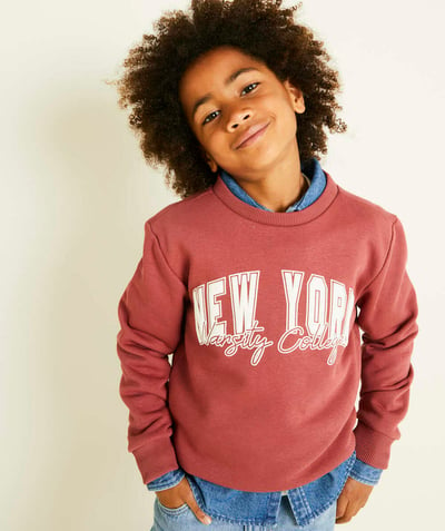 CategoryModel (8825715490958@9)  - boy's recycled fiber sweatshirt red campus theme