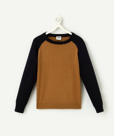 CategoryModel (8824928993422@14)  - brown and navy blue organic cotton boy's long-sleeved knitted sweater