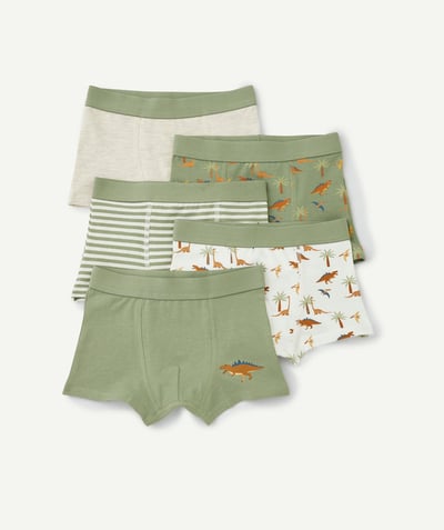 CategoryModel (8825060425870@31864)  - set of 5 gray, white and green dinosaur-themed boxer shorts for boys