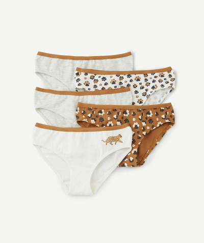 CategoryModel (8821761573006@30800)  - set of 5 plain girl's panties with dog paw print