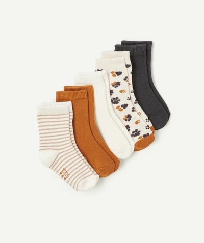 CategoryModel (8821753282702@169)  - pack of 5 colorful striped baby girl socks