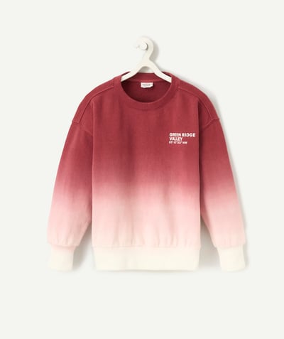 CategoryModel (8821764522126@5302)  - boy's sweatshirt in gradient burgundy recycled fibers
