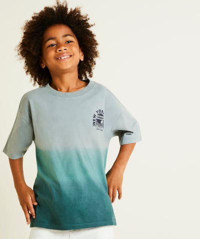 CategoryModel (8821761507470@9206)  - t-shirt manches courtes garçon en coton bio dégradé de bleu