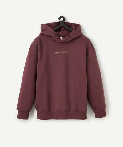 CategoryModel (8824667046030@115)  - Sweat à capuche garçon en fibres recyclées bordeaux