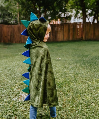 CategoryModel (8821764096142@159)  - Dragon cape with claws