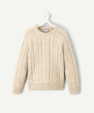 CategoryModel (8824667570318@1406)  - Boy's sweater in organic beige cotton, twisted