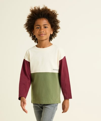 CategoryModel (8821761507470@10192)  - Boy's long-sleeved color block tee-shirt