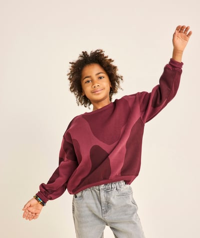 CategoryModel (8824666849422@279)  - Sweat garçon imprimé camouflage bordeaux