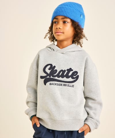 CategoryModel (8824667668622@433)  - Sweat à capuche gris garçon avec message skate