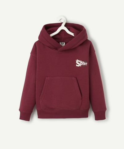 CategoryModel (8821761015950@3207)  - Boy's burgundy writing hoodie