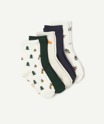 CategoryModel (8821762490510@796)  - pack of 5 pairs of ski and fir-themed socks