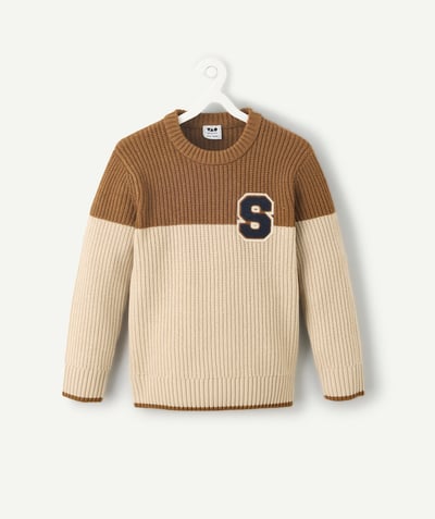 CategoryModel (8824668061838@549)  - Two-tone brown and beige boy's sweater