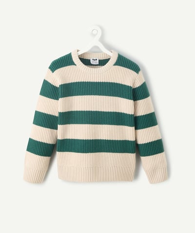 CategoryModel (8821761015950@3207)  - Boy's green and ecru striped sweater