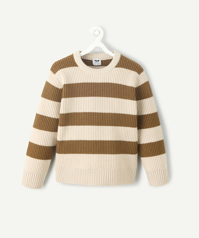 CategoryModel (8821761015950@3207)  - Beige and brown striped boy's sweater