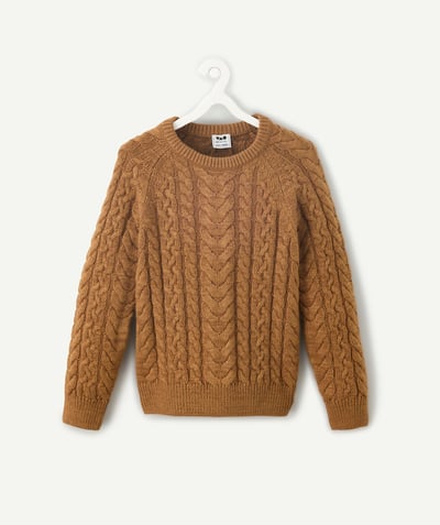 CategoryModel (8821761015950@3207)  - Boy's brown cable-knit sweater