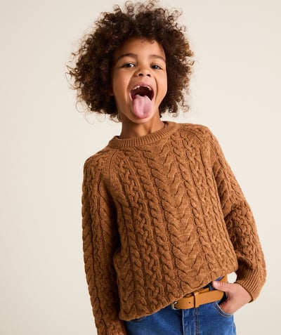 CategoryModel (8821761638542@2088)  - Boy's brown cable-knit sweater