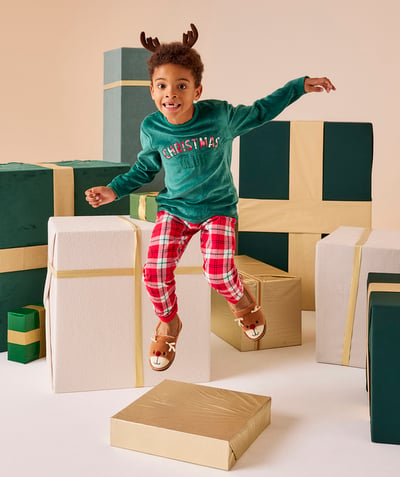 CategoryModel (8824830591118@94)  - Long green and red boy's pyjamas Christmas spirit