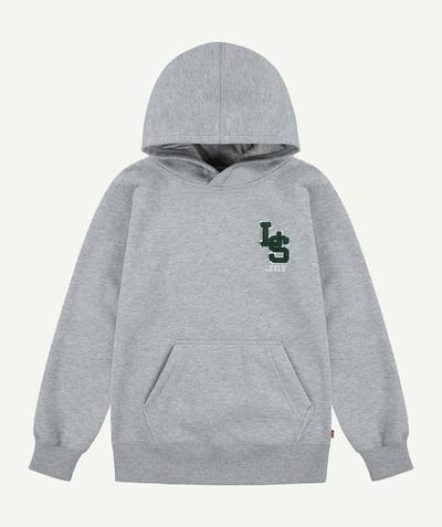 CategoryModel (8825060327566@13)  - ls monogram hoodie