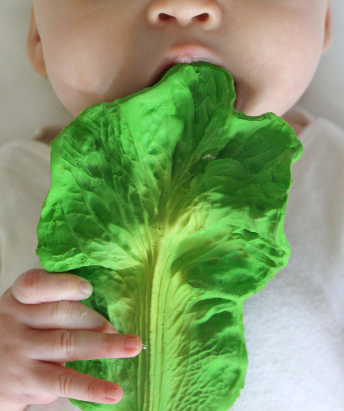   - CABBAGE LEAF TEETHING TOY