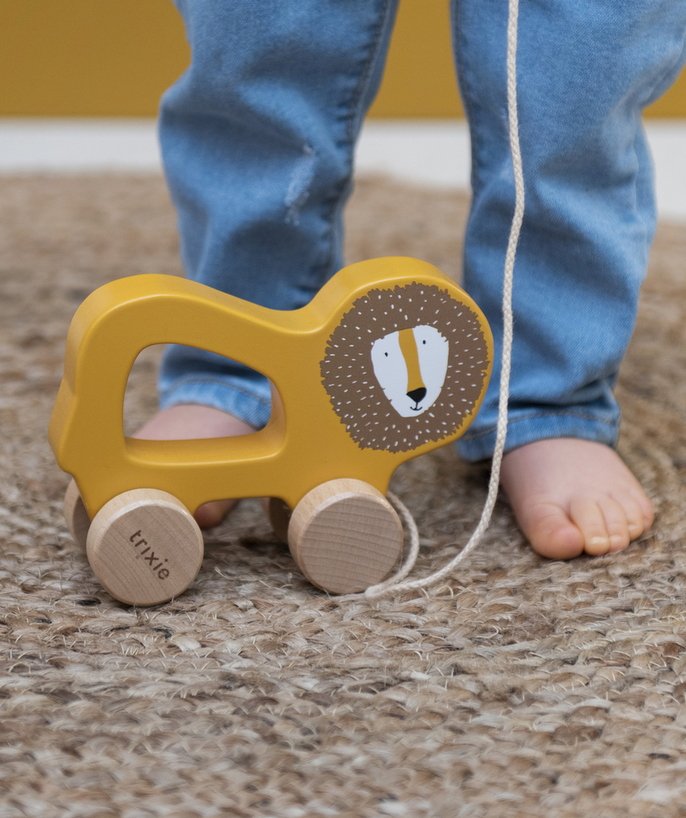   - BABY'S WOODEN LION PULL-ALONG TOY