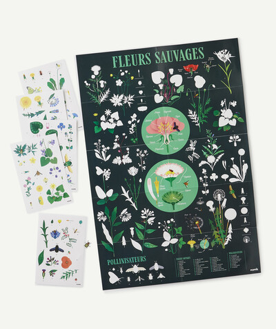 CategoryModel (8821750759566@34)  - POSTER WITH 72 BOTANICAL STICKERS - 7-12 YEARS