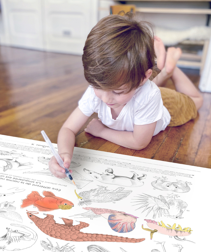   - INVISIBLE ANIMALS COLORING POSTER 6-16 YEARS